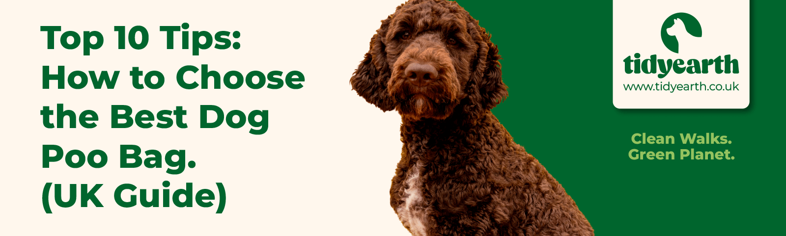 Top 10 Tips: How to Choose the Best Dog Poo Bag (UK Guide)