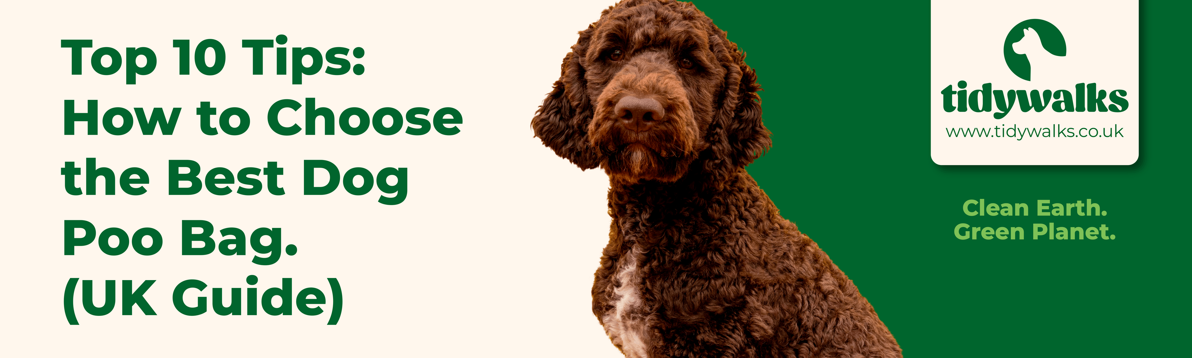 Top 10 Tips: How to Choose the Best Dog Poo Bag (UK Guide)
