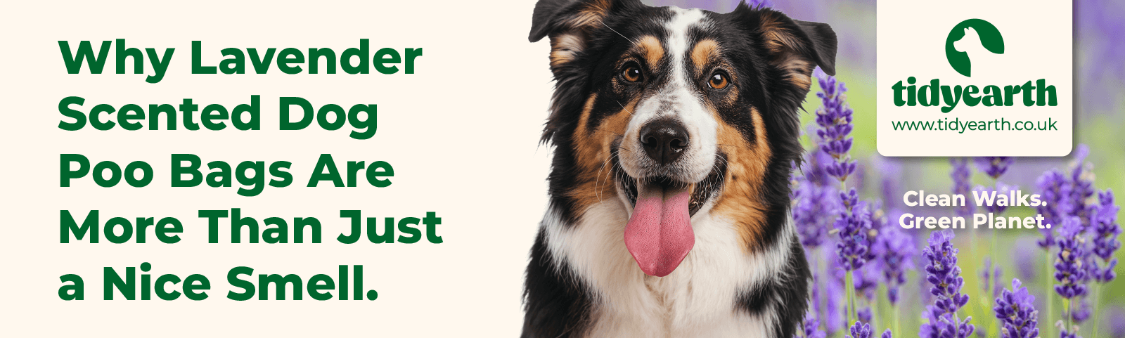 Why Lavender-Scented Dog Poo Bags Are More Than Just a Nice Smell