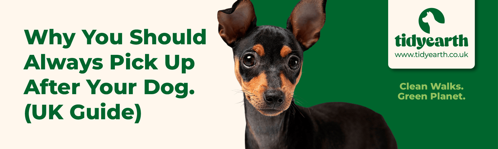 Why You Should Always Pick Up After Your Dog (UK Guide)